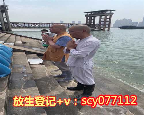 一次放生几条黄鳝好吗，一次放生后的感悟