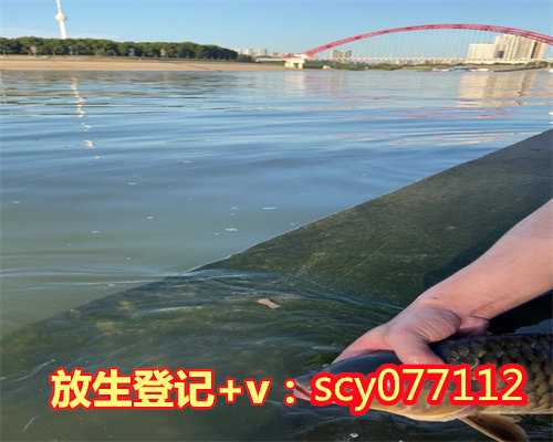 山东放生的福报的实例，山东哪里能放生昆虫，山东辣椒蟹能放生吗