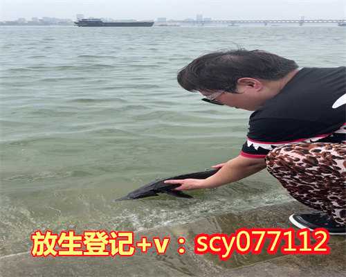 为逝者放生鱼前要说些什么，鲤鱼放生是拜祭什么放生鲤鱼的好处