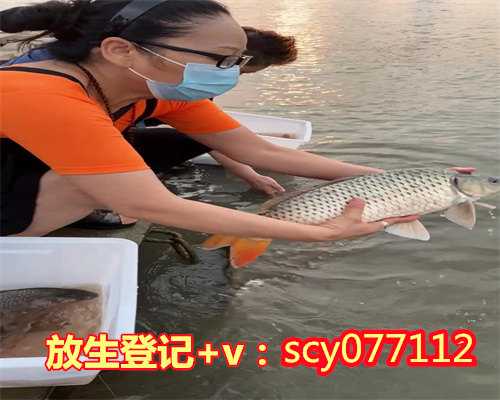 山东居士在家简单放生仪轨（山东放生应该念什么咒）