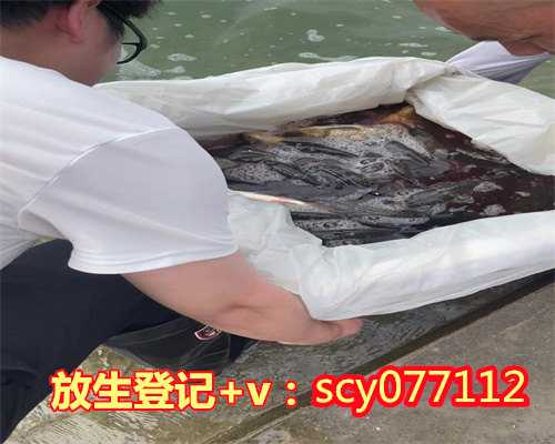 八月十五放生功德是什么日子，放生为什么有那么大功德？