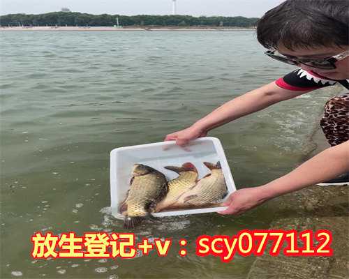 鸽子放生前要做什么重庆，重庆放生公司【放生的作用和功效】