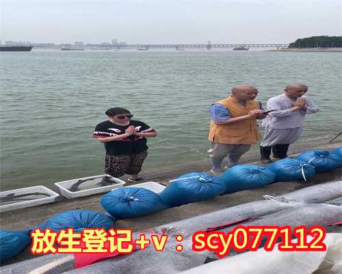 放生身体神奇感应，黄柏霖：常念放生有感应，身体病痛得治愈