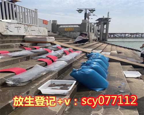 放生鱼一般要放生几条好，敬告所有放生的师兄！放生鲤鱼的好处