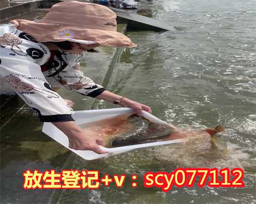 放生猫有什么功德，放生为什么有那么大功德？