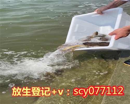 青岛泥鳅放生有什么讲究吗，青岛放生园放生刺猬，青岛放生黄鳝有求必应