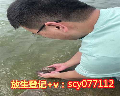 什么叫放生日，什么叫做四摄