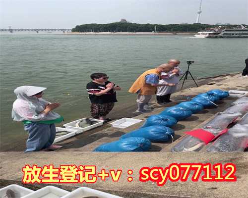 济南7天内做功德的步骤，济南哪里放生蛇最好，济南放生供僧才有意义