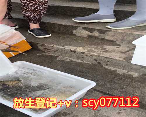 2024年8月放生吉日，慈光护生2009年11月15日放生公告