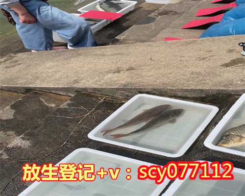 放生螃蟹的功德和福报杭州,杭州哪里放生动物最好【杭州放生团】