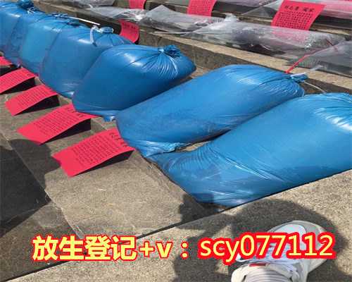 放生的行为用什么成语，放生为什么有那么大功德？