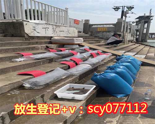 温州放生回向给病人怎么说（温州乌龟放生地点公布）