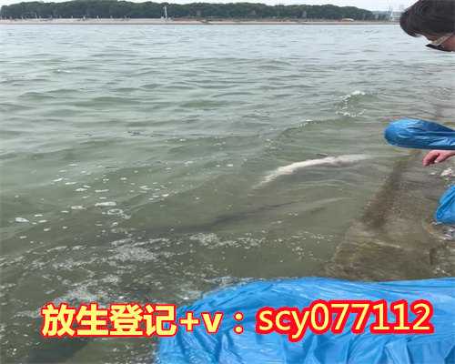 为什么放生喜欢放泥鳅鱼，放生，泥鳅在各种淡水水域中生存力强