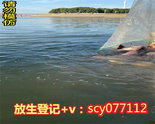 惠州放生带鱼籽的母鱼,惠州鸭子放生祝愿的话语,惠州方坐莲花台